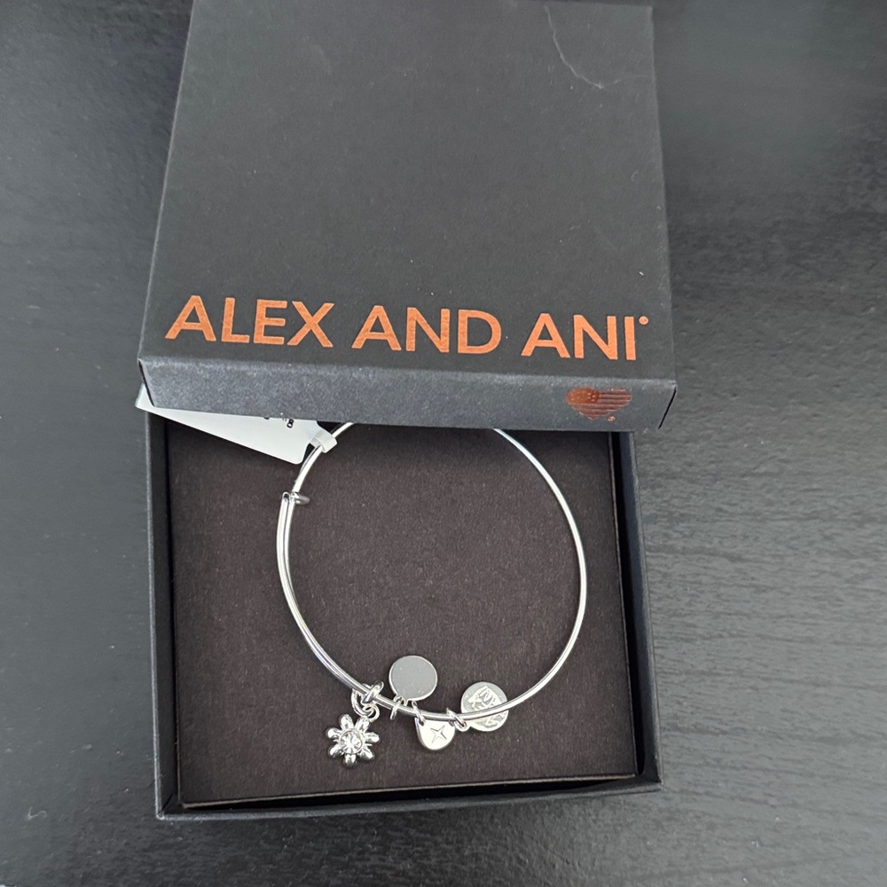 NWT Alex and Ani Bracelet